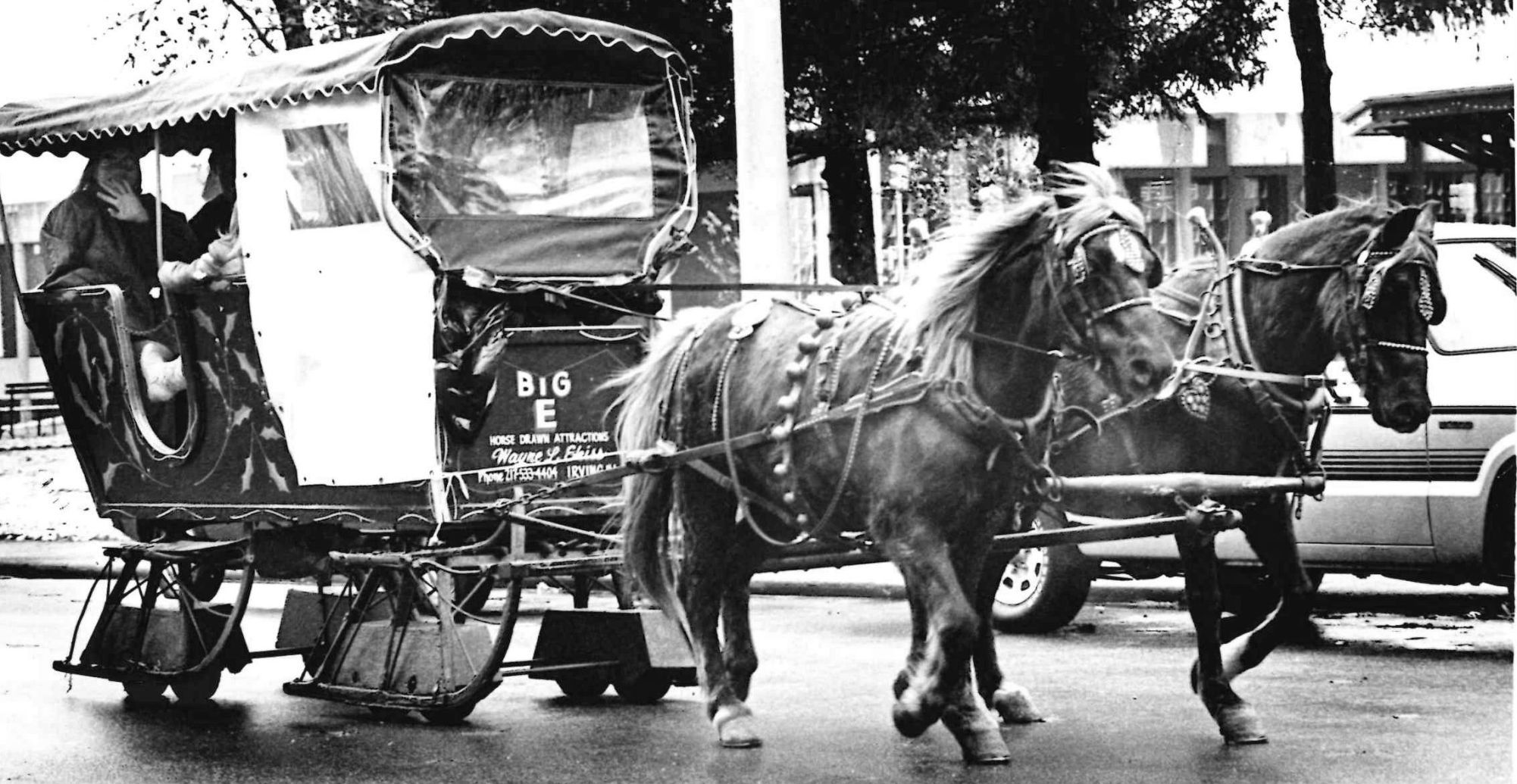 History Corner: A Look Back